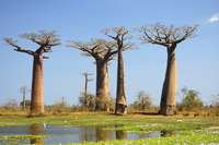 Madagaskar AktivPlus