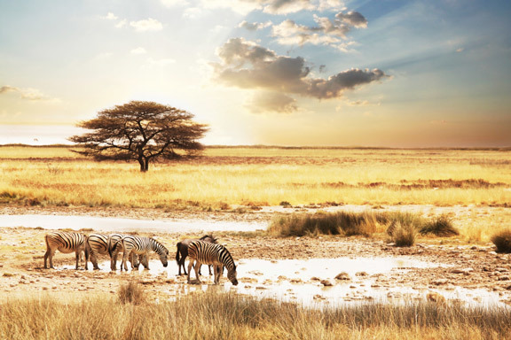 Namibia ComfortPlus