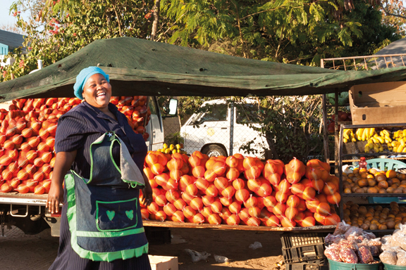 Simbabwe-Botswana-Namibia ComfortPlus