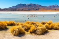 Bolivien