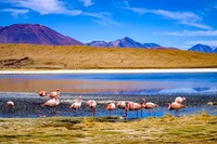 Bolivien