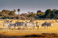 Namibia und Botswana mit Victoriafällen ComfortPlus