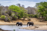 Südafrika, Botswana und Mosambik ComfortPlus