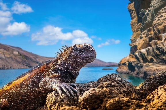 Ecuador mit Galápagos Inseln