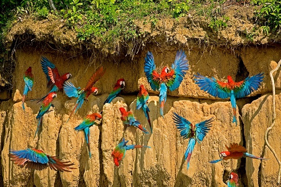 Peru mit Amazonien