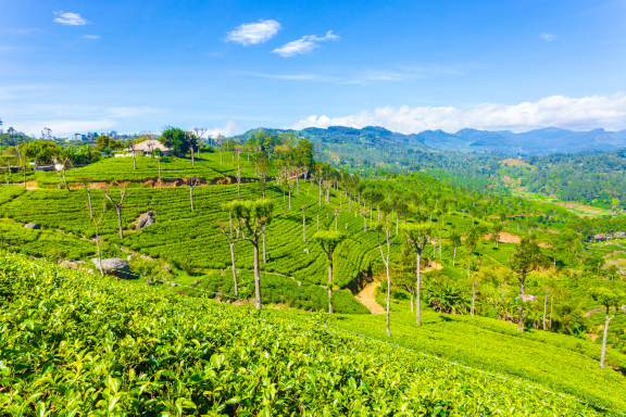 Sri Lanka