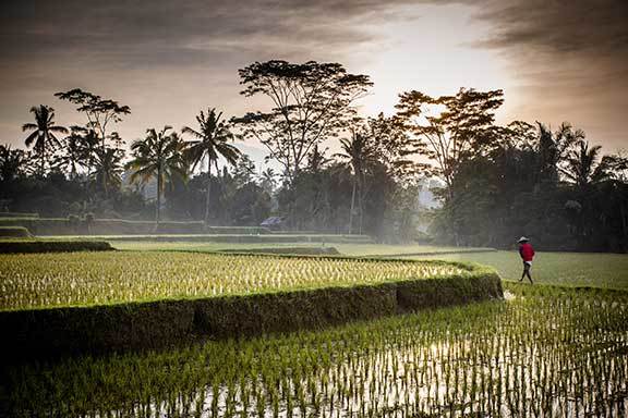 Indonesien: Java und Bali mit Vorprogramm Sumatra