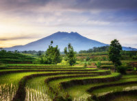 wiLIVE Asien