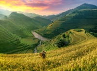 wiLIVE Laos & Kambodscha